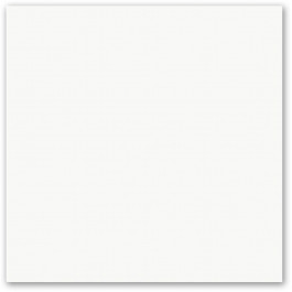 Porcelanato 58X58 Ptg58010R Tipo A Tecnogres