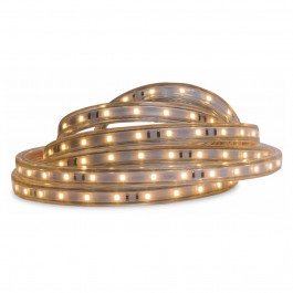 Mangueira Led 5050 12W Branco 3000K Neotron