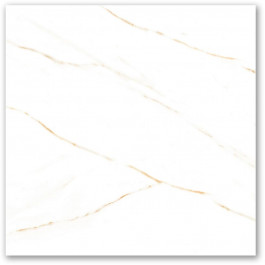 Porcelanato 58X58 Ppo58300R Polido Tipo A Tecnogres