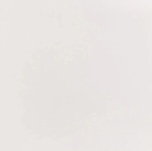 PORCELANATO ELIZABETH 60X60 SUPER BIANCO TECN POLIDO TIPO C